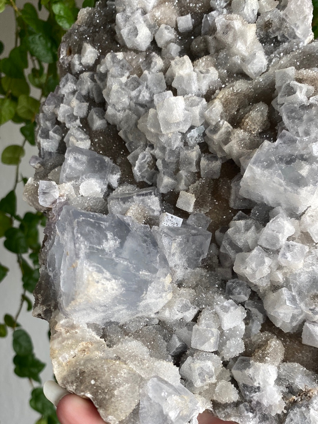 XXL Collectors Cubic Fluorite On Black Chalcedony (4.7lbs)