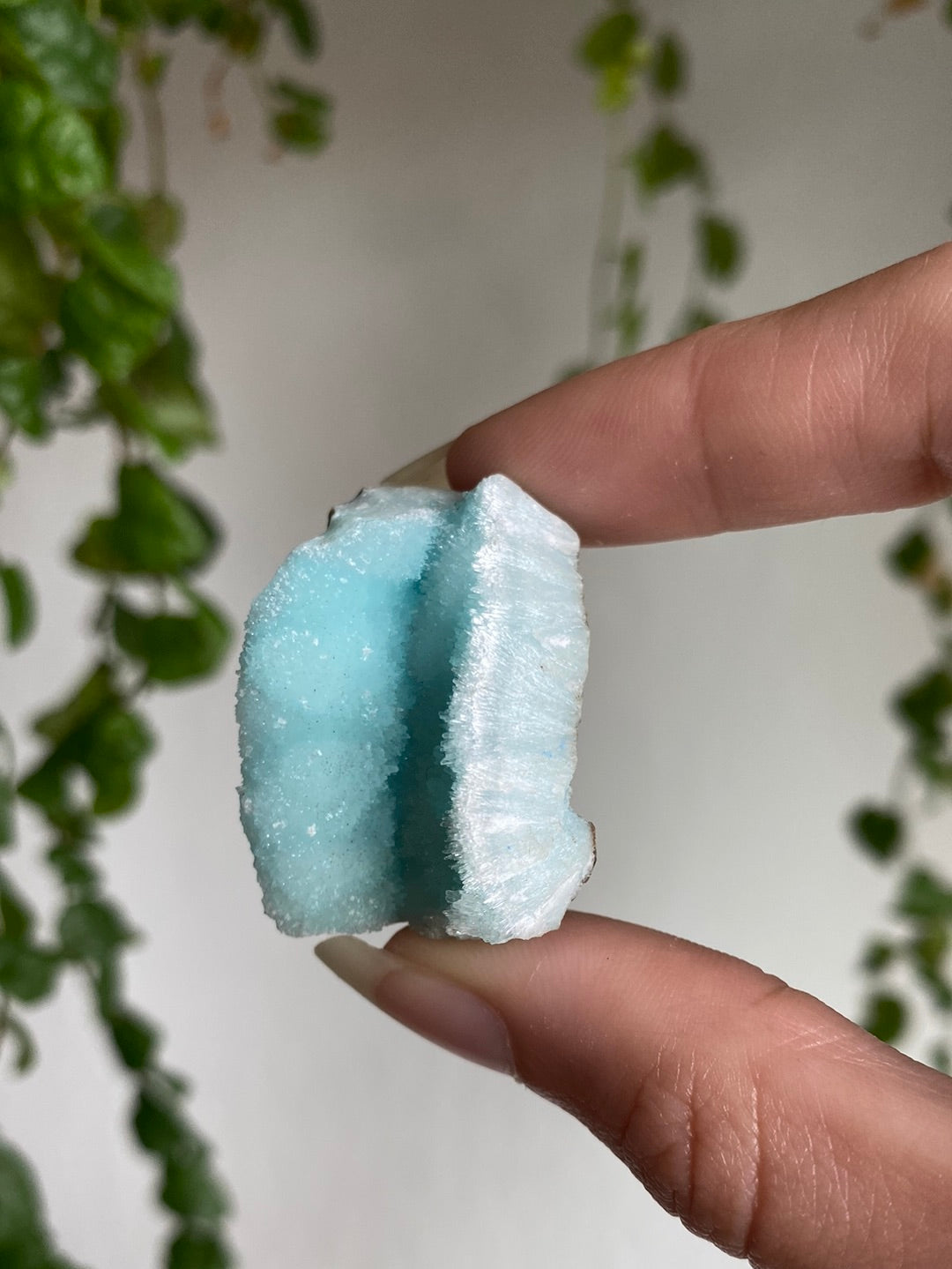 High End Blue Aragonite Specimen