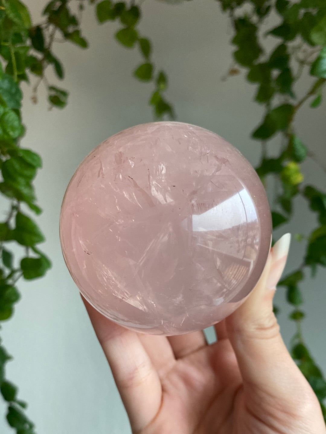 Large High Quality Star Rose Quartz Sphere A