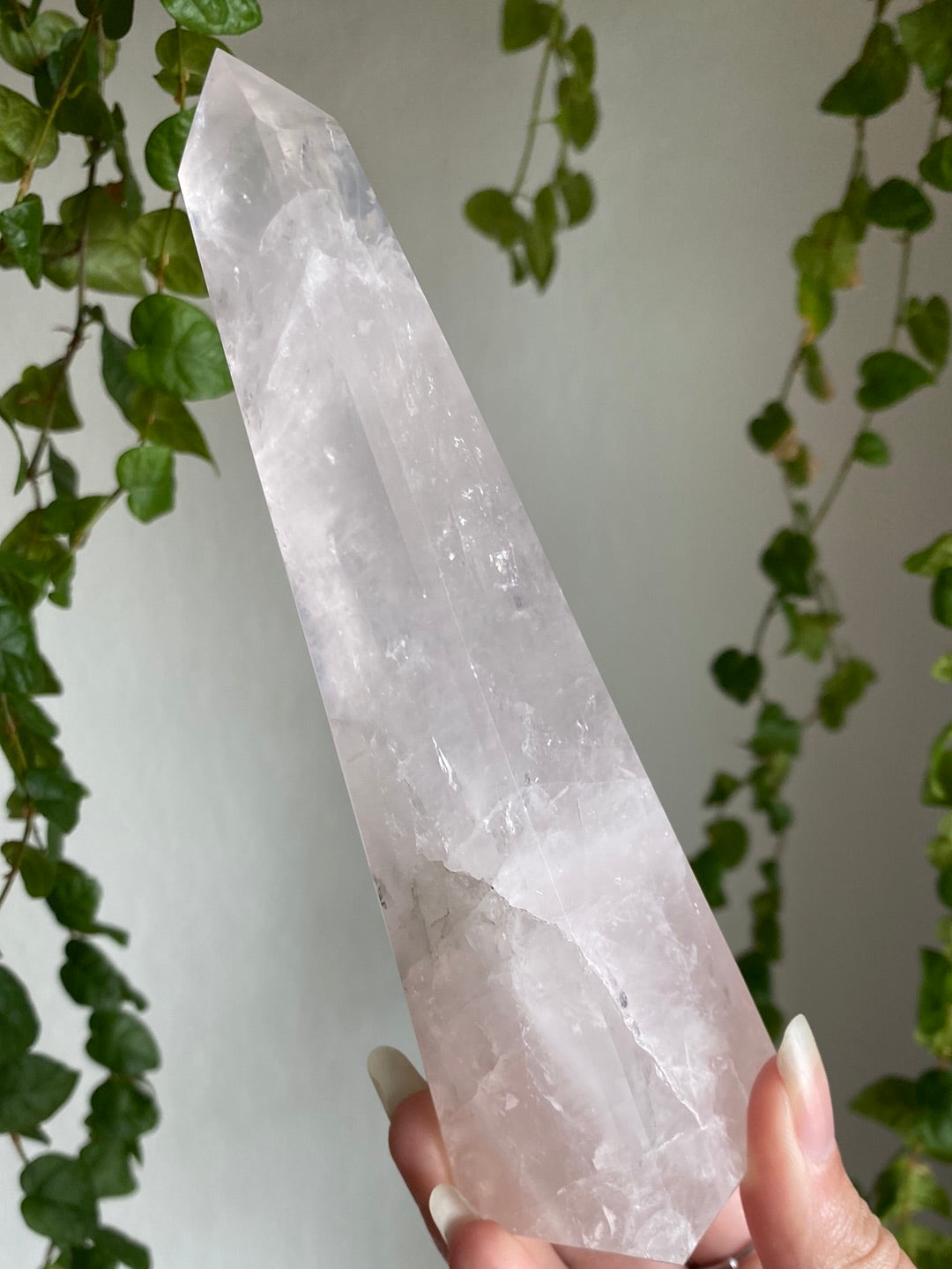 Tall Gemmy Girasol Rose Quartz Obelisk A