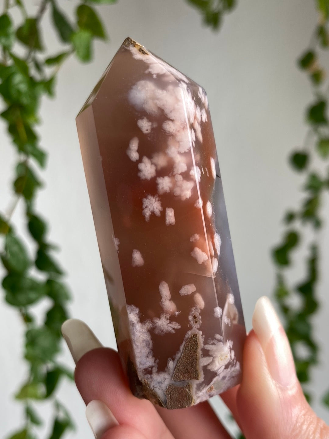 Black Flower Agate & Carnelian Tower