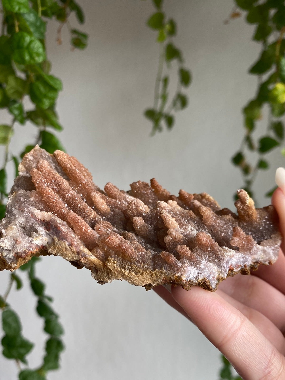Unique Crystalized Pink Amethyst Specimen