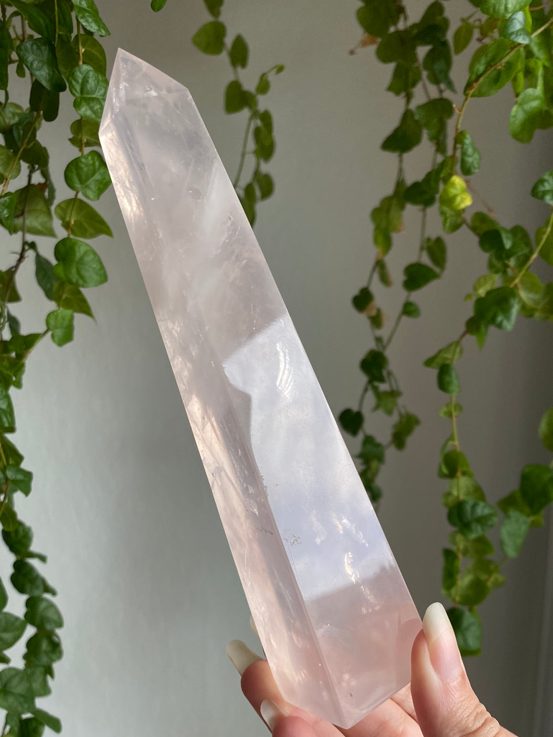 Tall Gemmy Girasol Rose Quartz Obelisk B