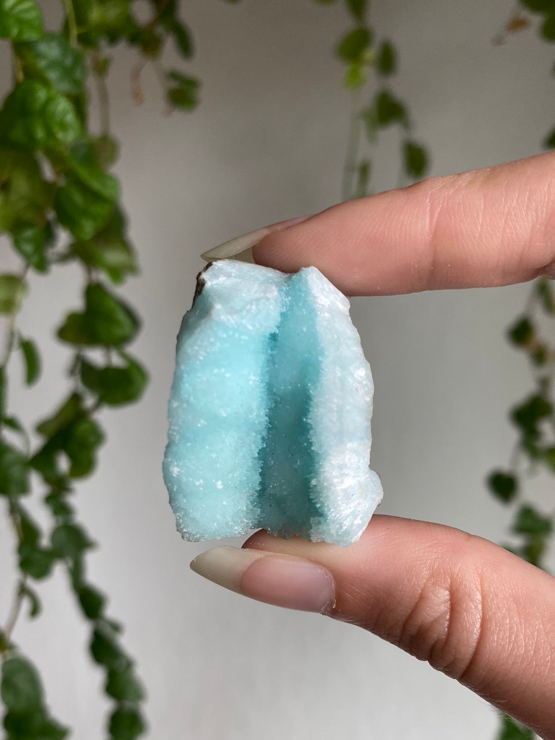 High End Blue Aragonite Specimen