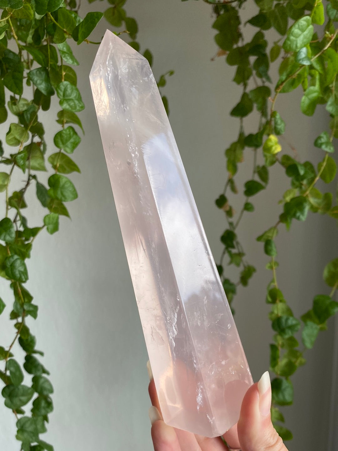 Tall Gemmy Girasol Rose Quartz Obelisk B