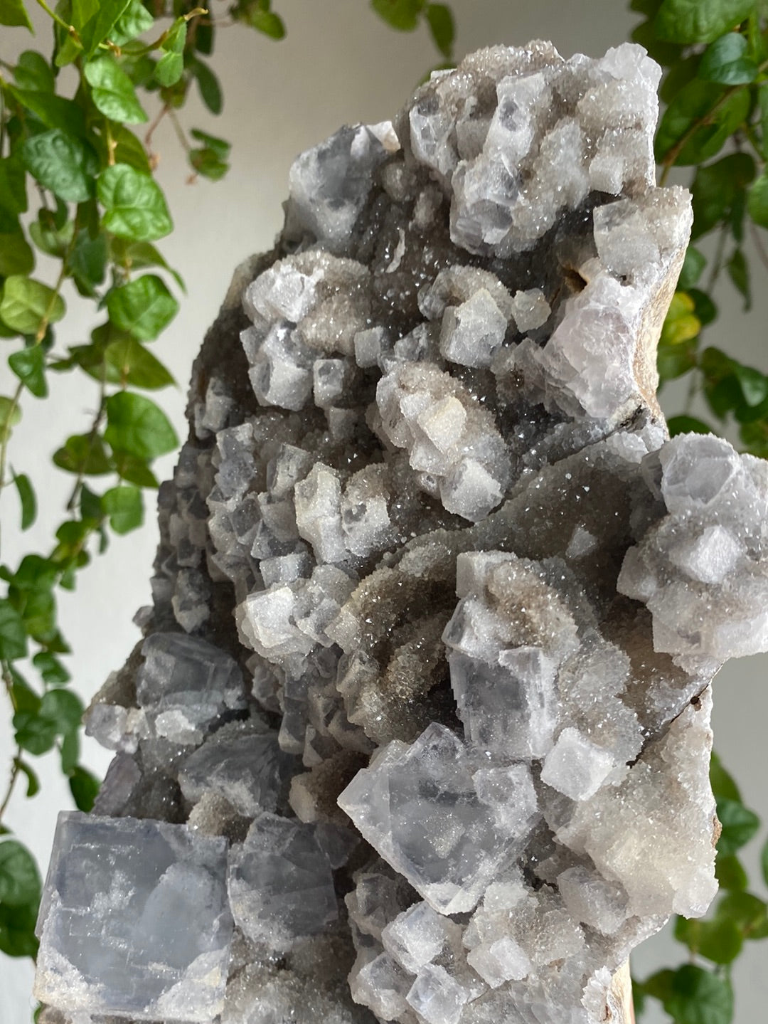 XXL Collectors Cubic Fluorite On Black Chalcedony (4.7lbs)