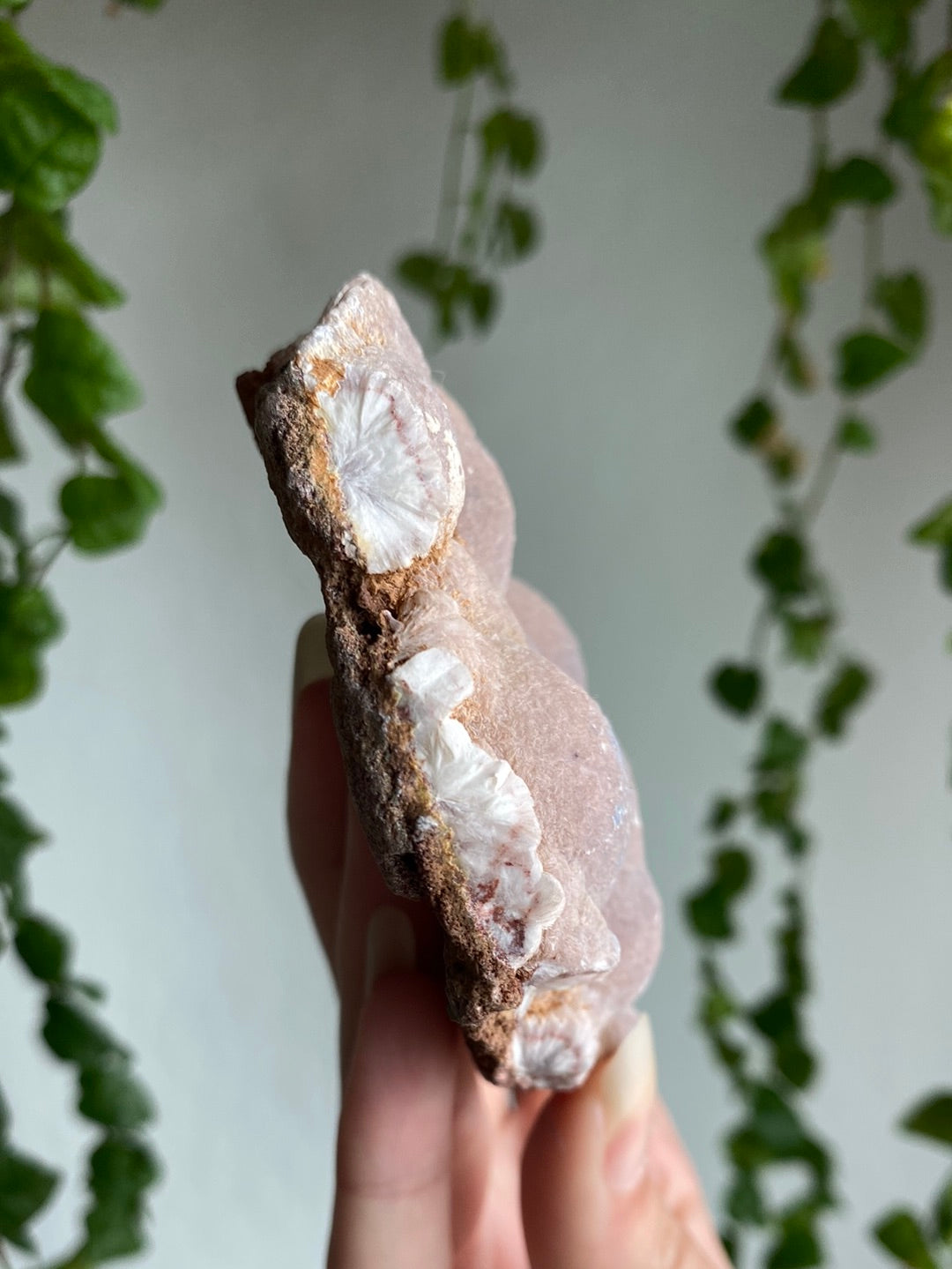 Botryoidal Chalcedony Specimen