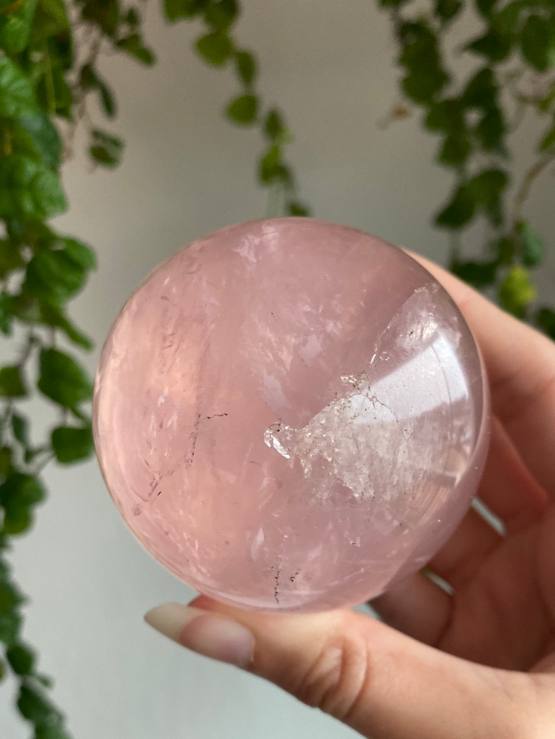 Large High Quality Star Rose Quartz Sphere A