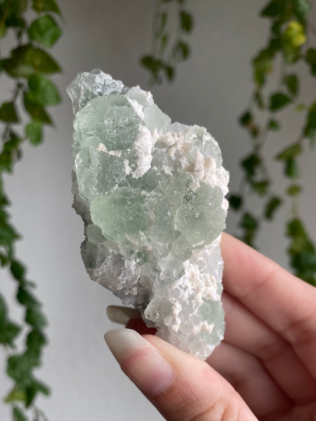 Jelly Fluorite Specimen