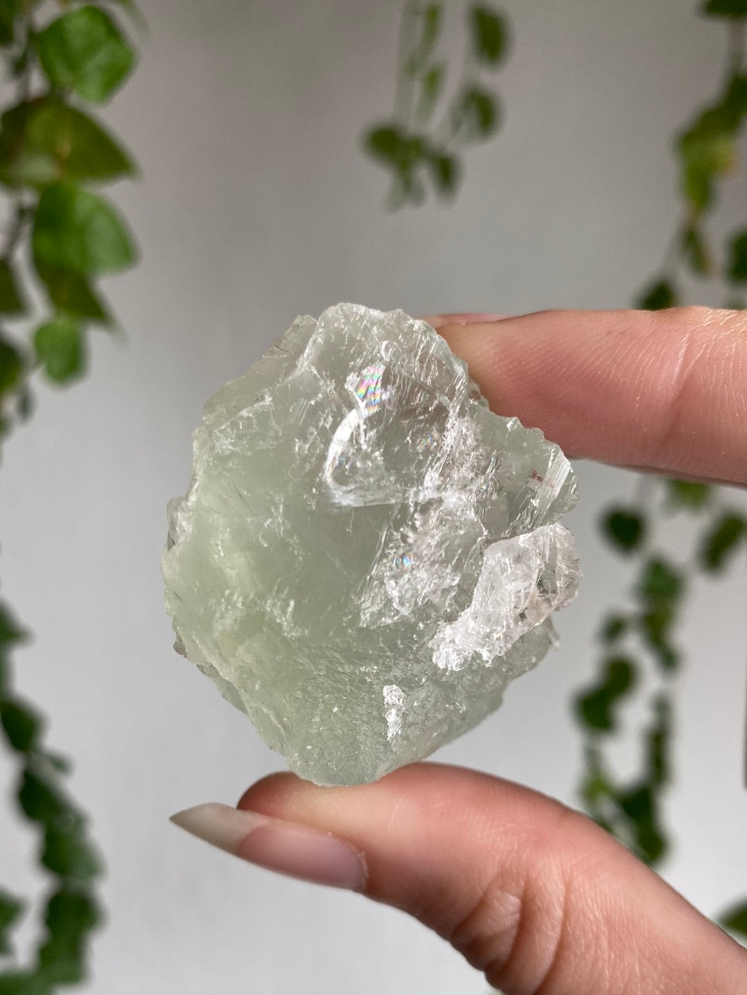Green Cubic Fluorite B