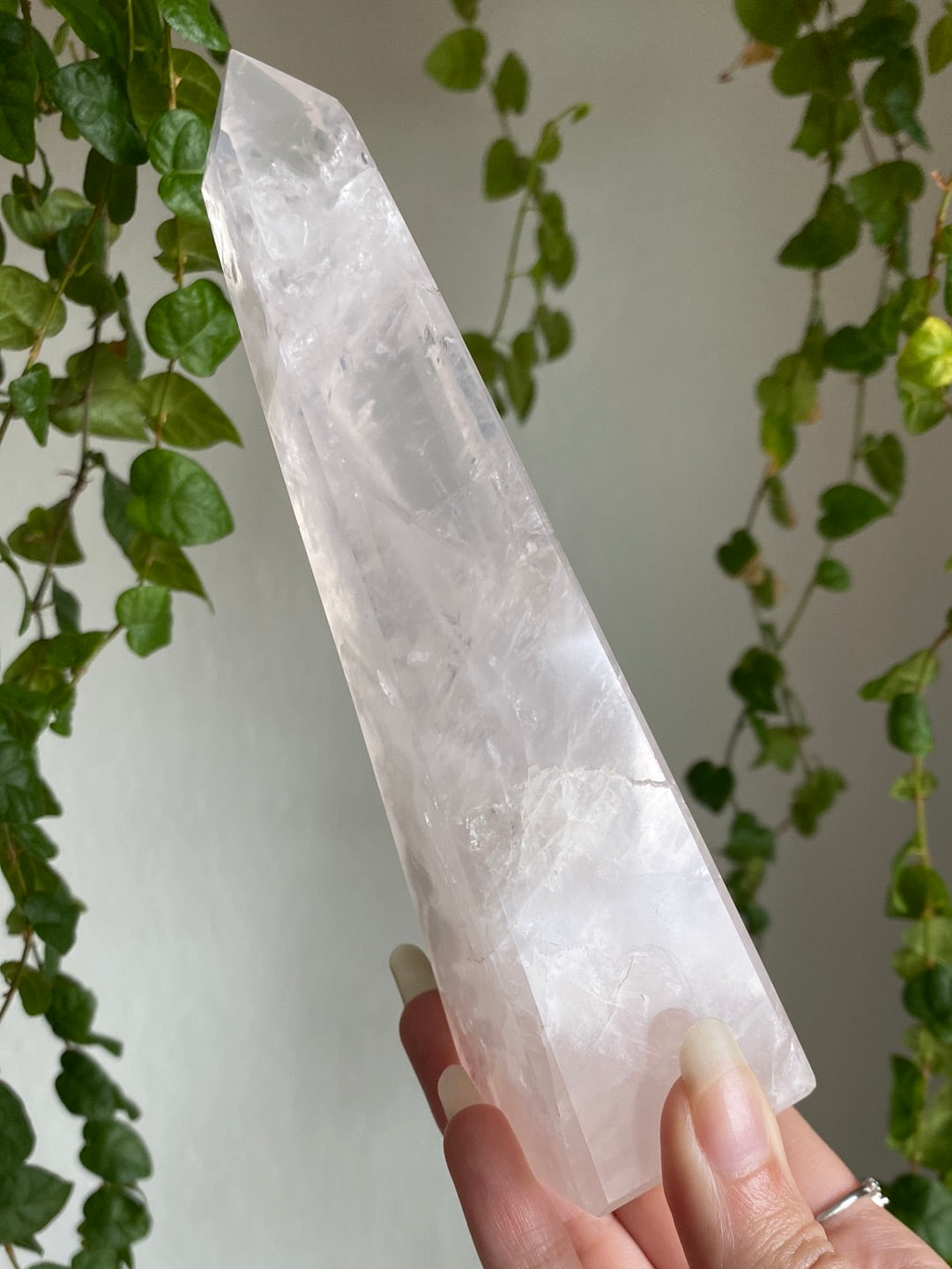 Tall Gemmy Girasol Rose Quartz Obelisk A