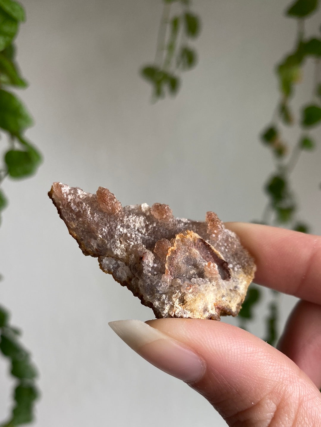 Mini Crystalized Pink Amethyst Specimen