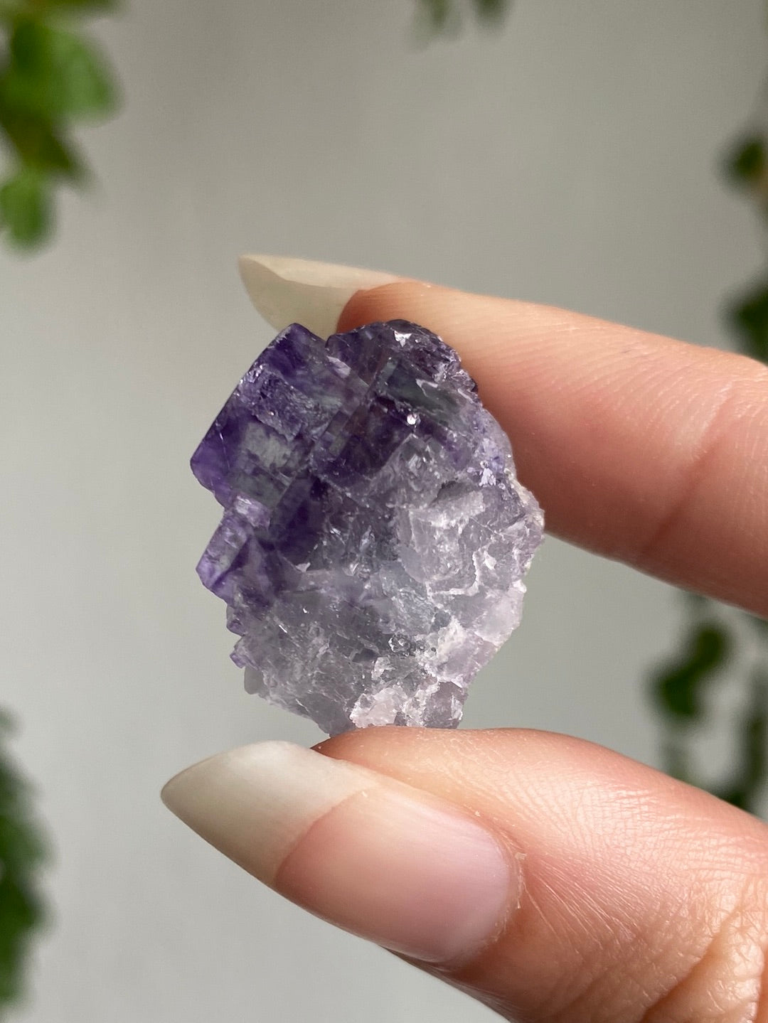High Quality Fluorite Specimen G
