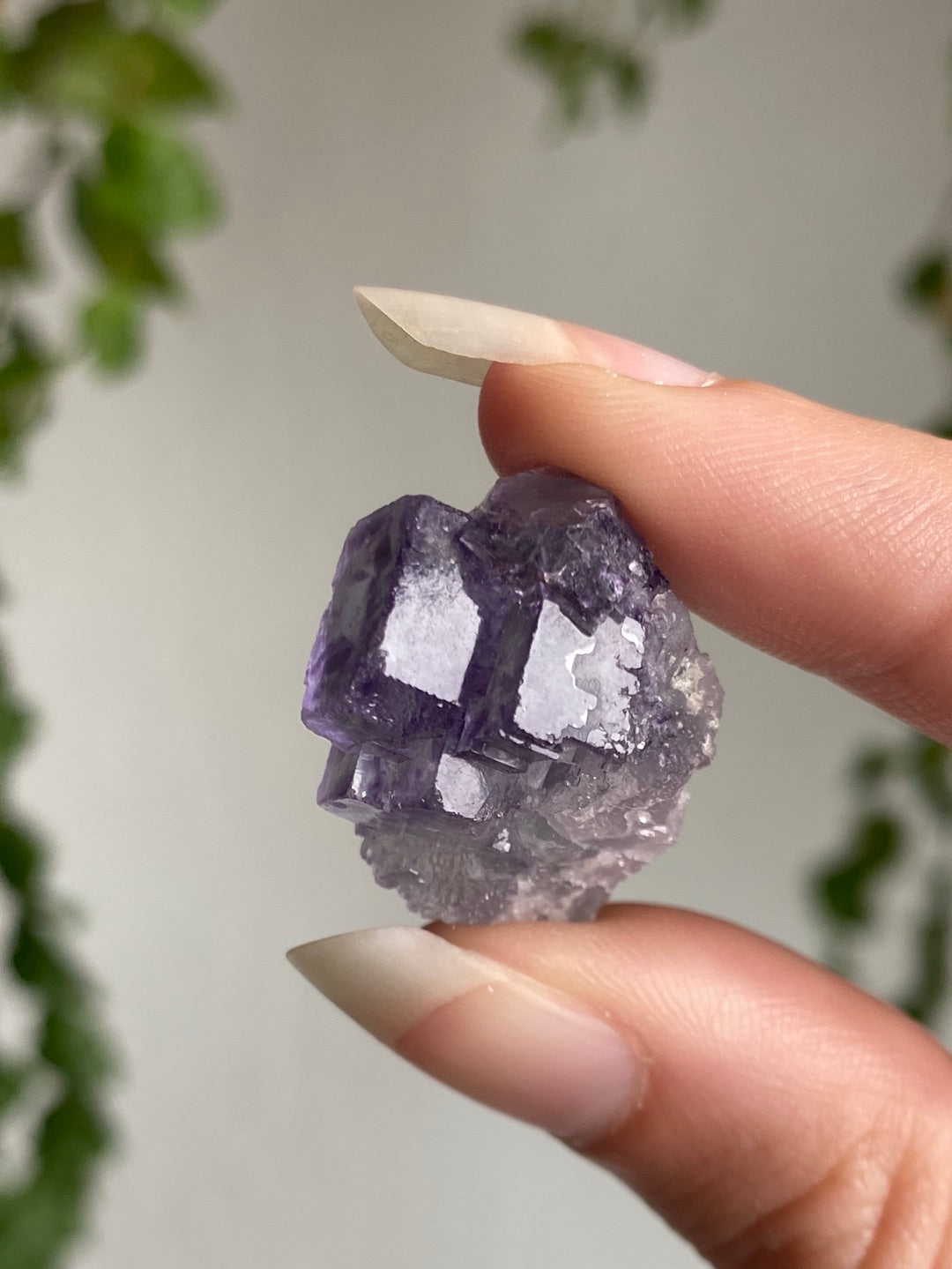 High Quality Fluorite Specimen G