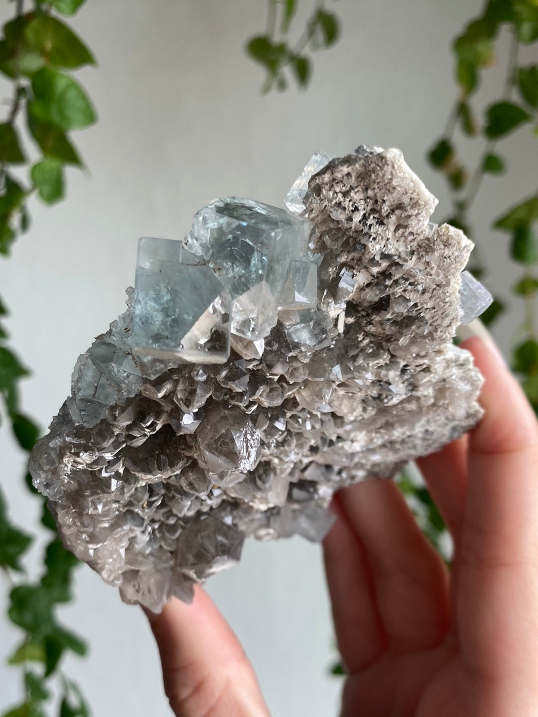Statement Rare Grey Fluorite On Blue Cubic Fluorite Specimen