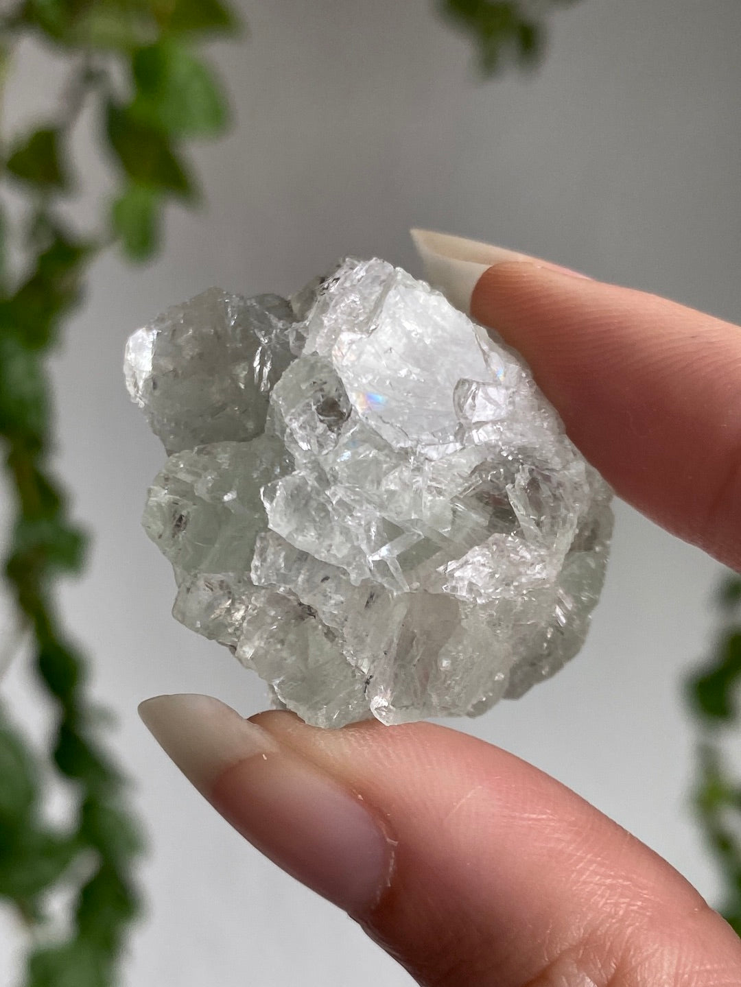 High Quality Fluorite Specimen F