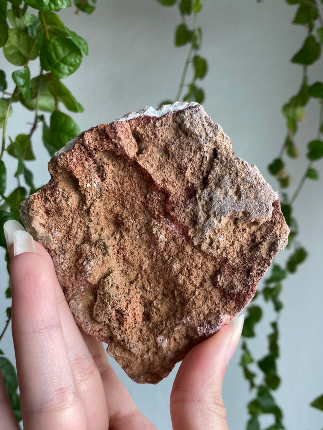 Botryoidal Chalcedony Specimen