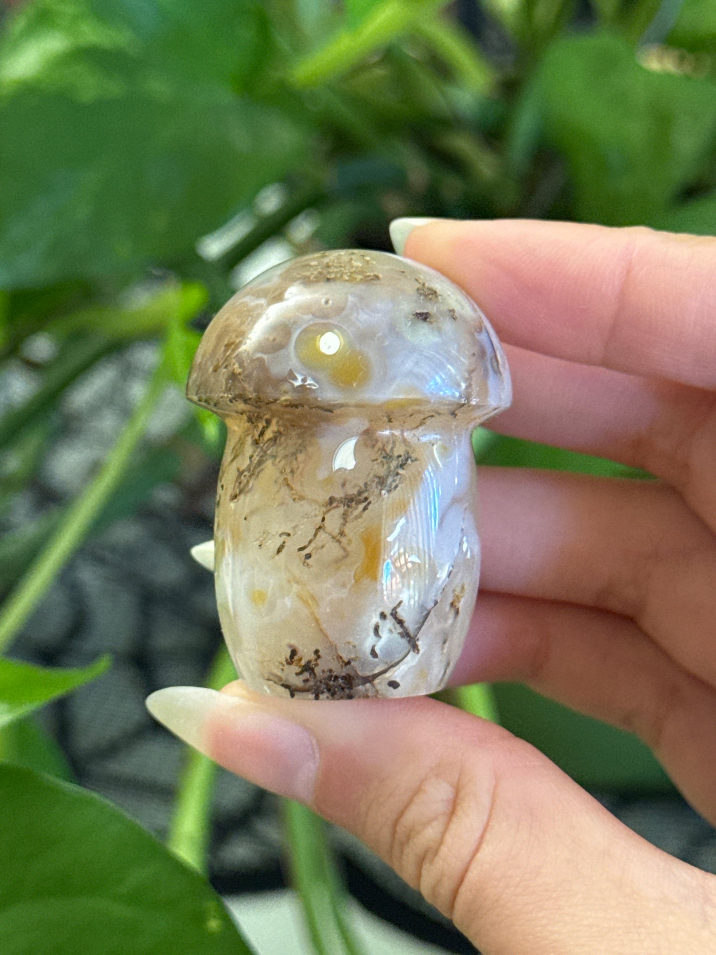 Unique Druzy Agate Mushroom with Moss Agate Inclusions