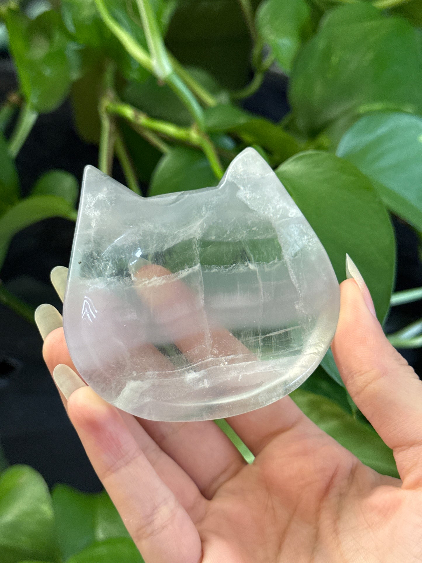 Yttrium Fluorite Kitty Bowl | You Pick