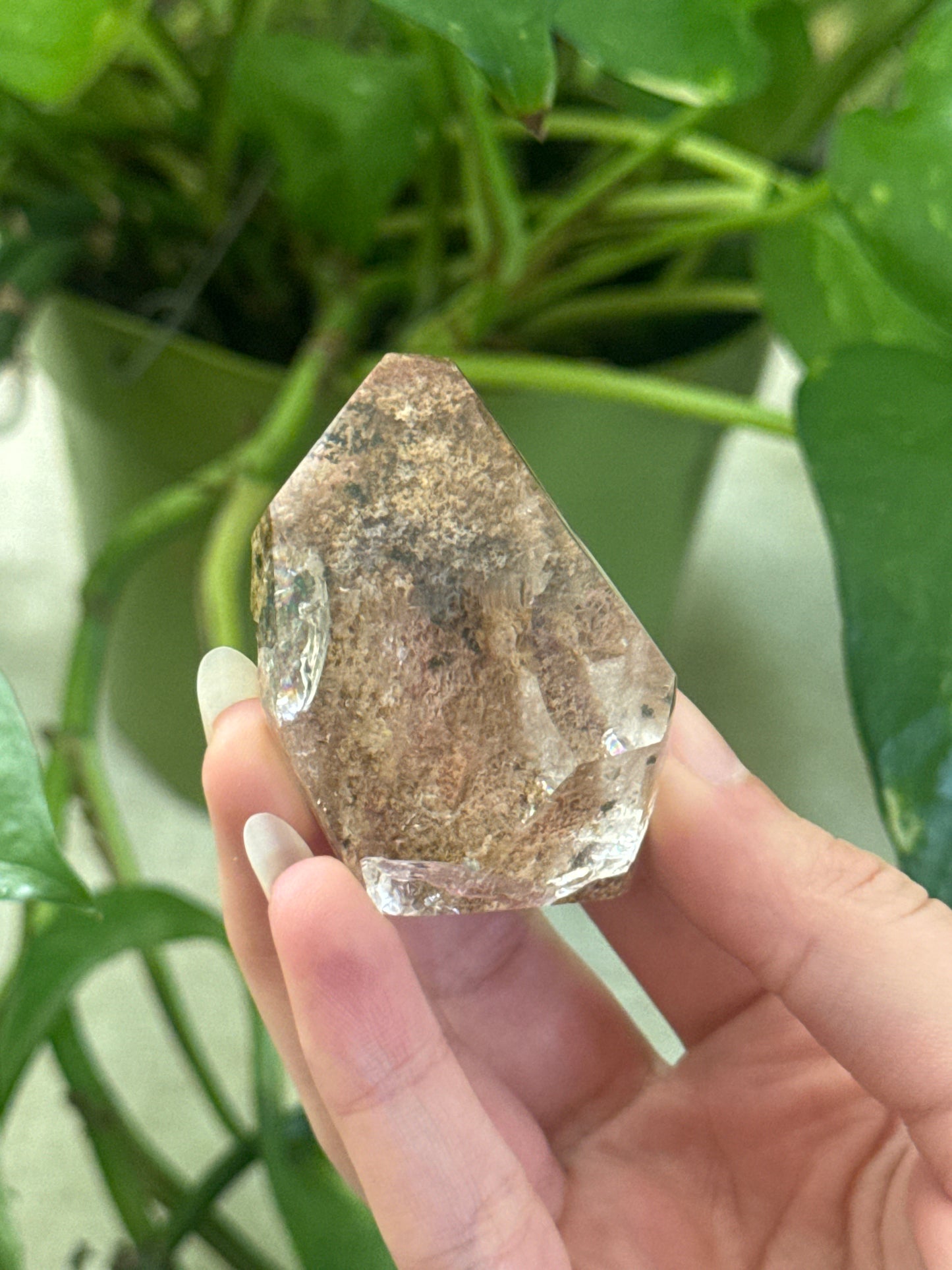 Garden Quartz Lens Style Freeform D