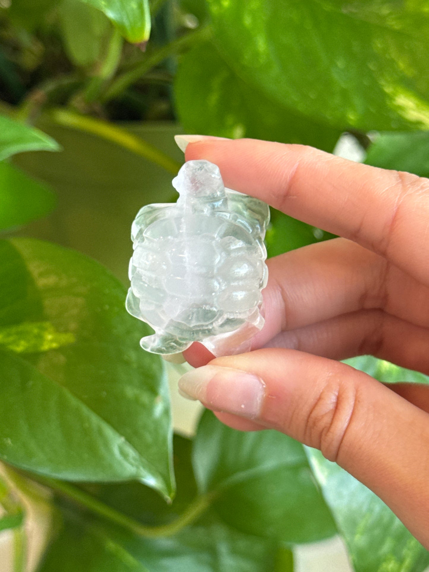 Super Clear Yttrium Fluorite Tortoise Carving