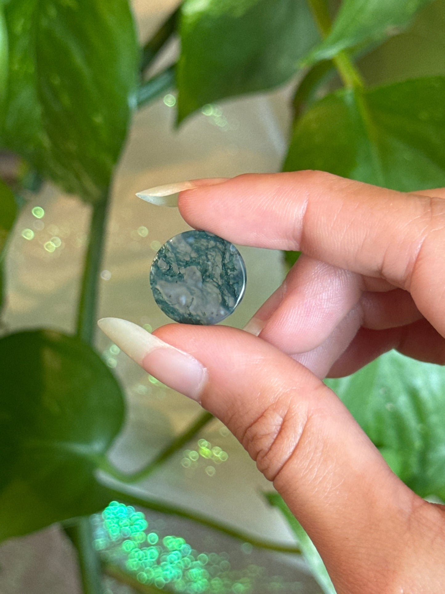High Grade Moss Agate Disk