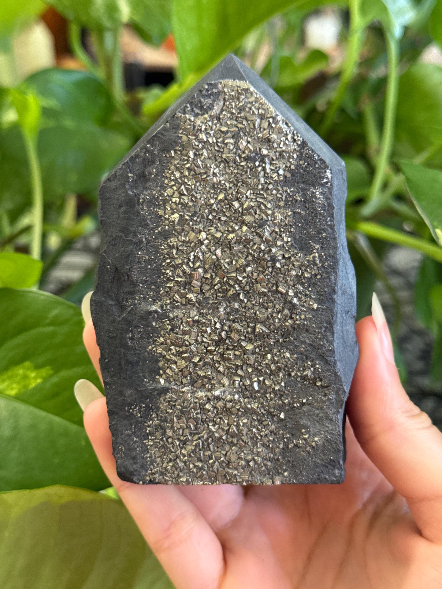 Pyrite on Shungite Specimen Tower