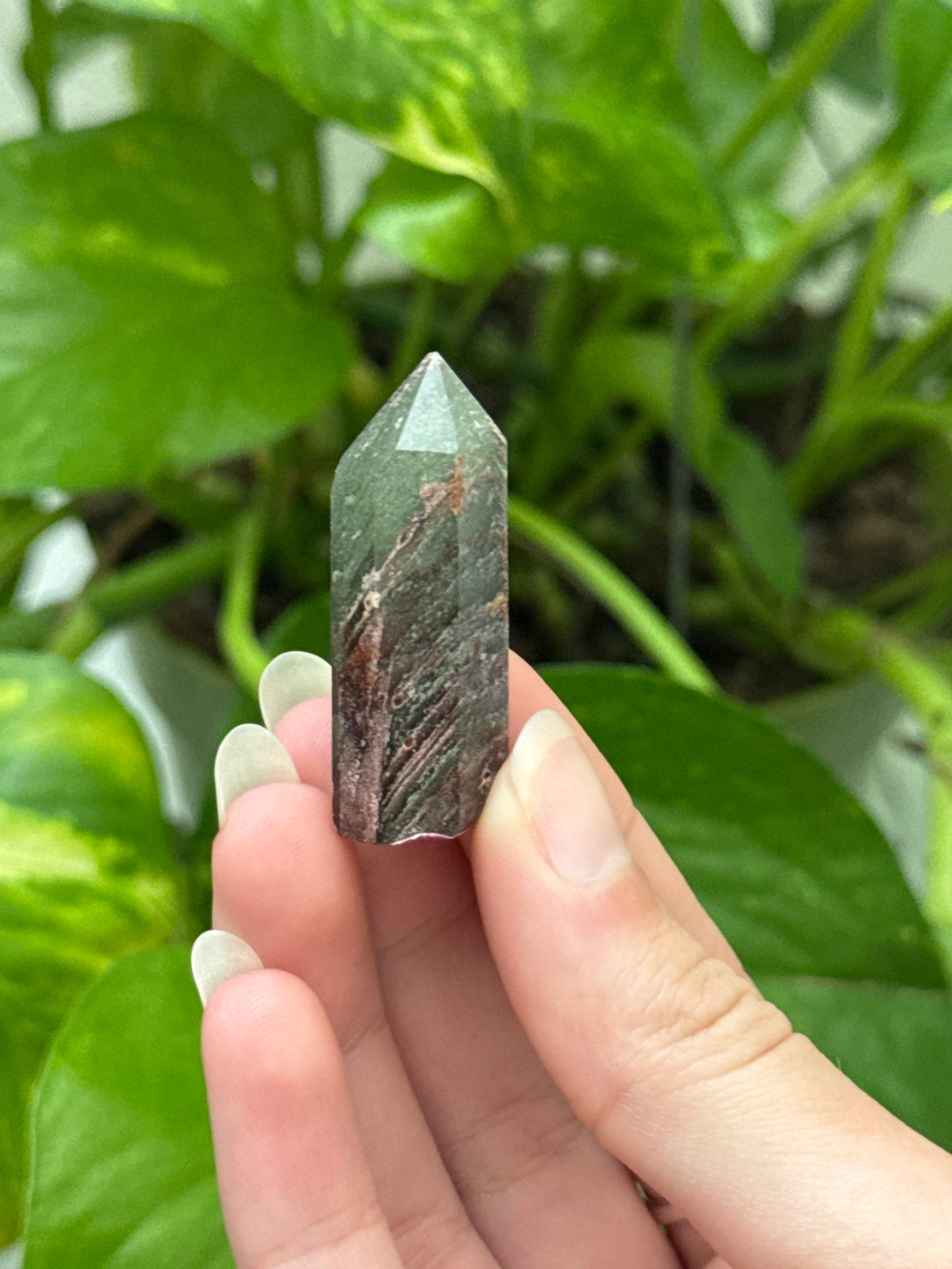 Four Seasons Garden Quartz Tower | You Pick