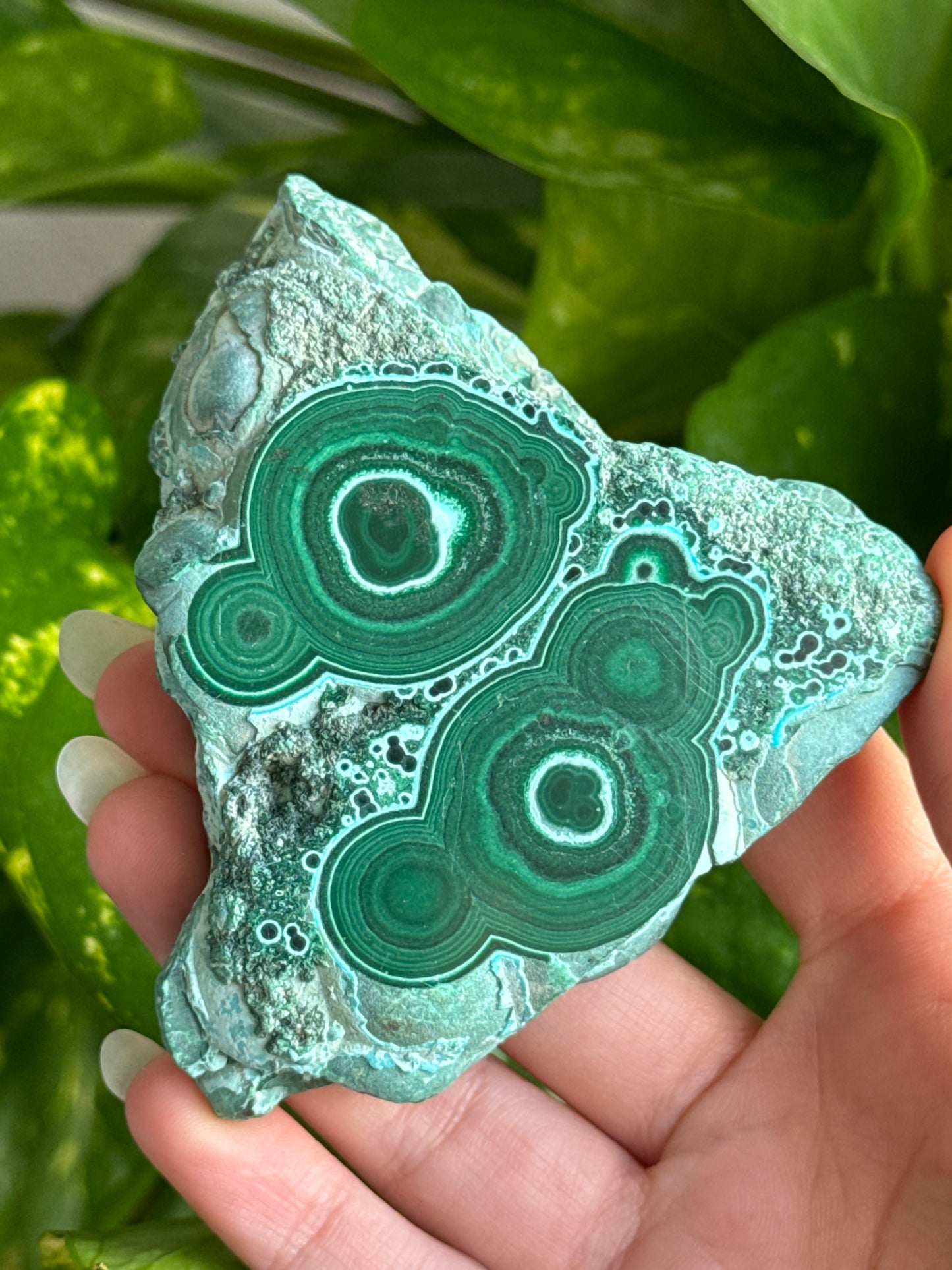 Malachite & Chrysocolla Slab A