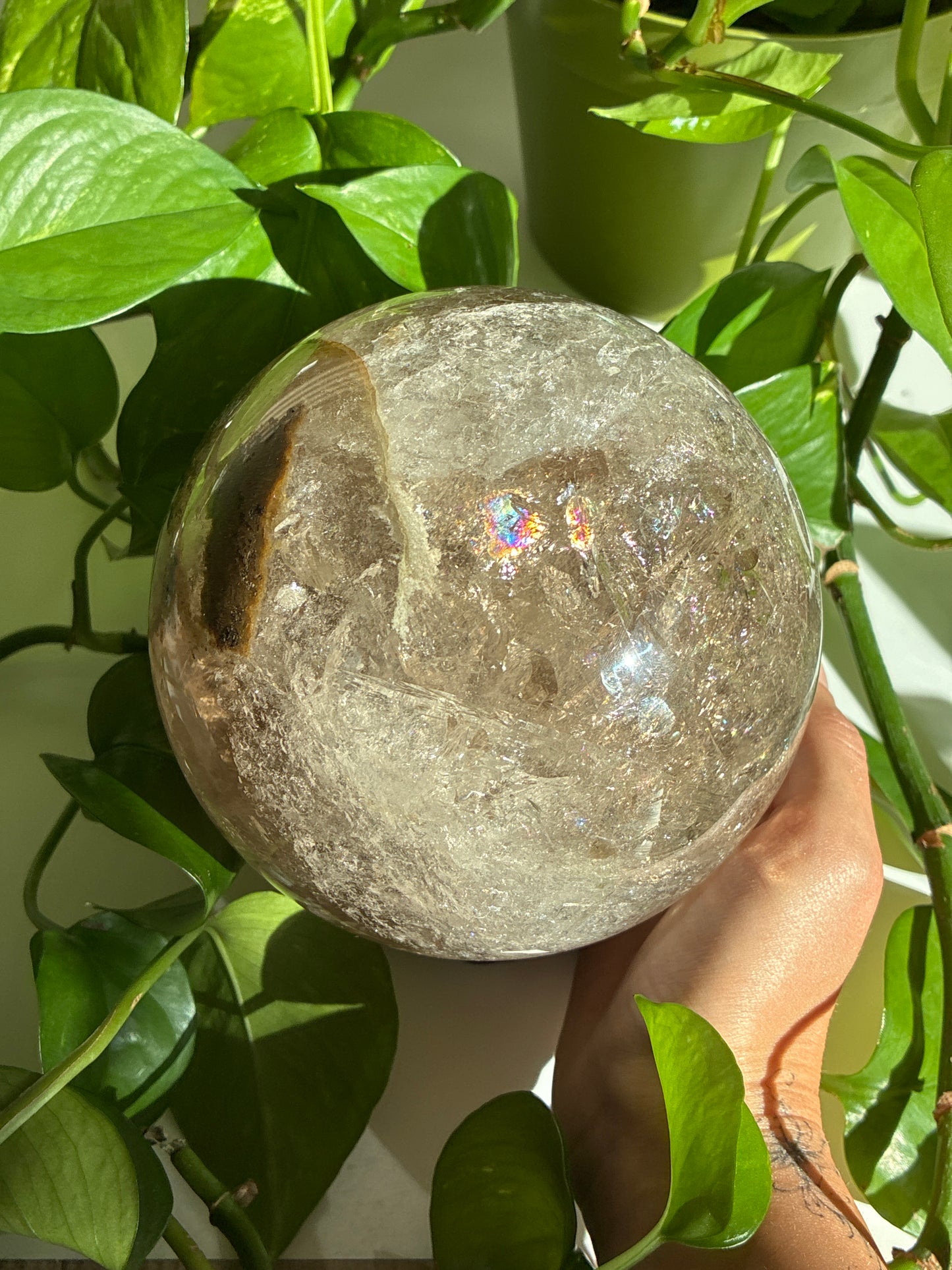 XL Statement Smokey Garden Quartz Sphere with insane Sparkles & Rainbows