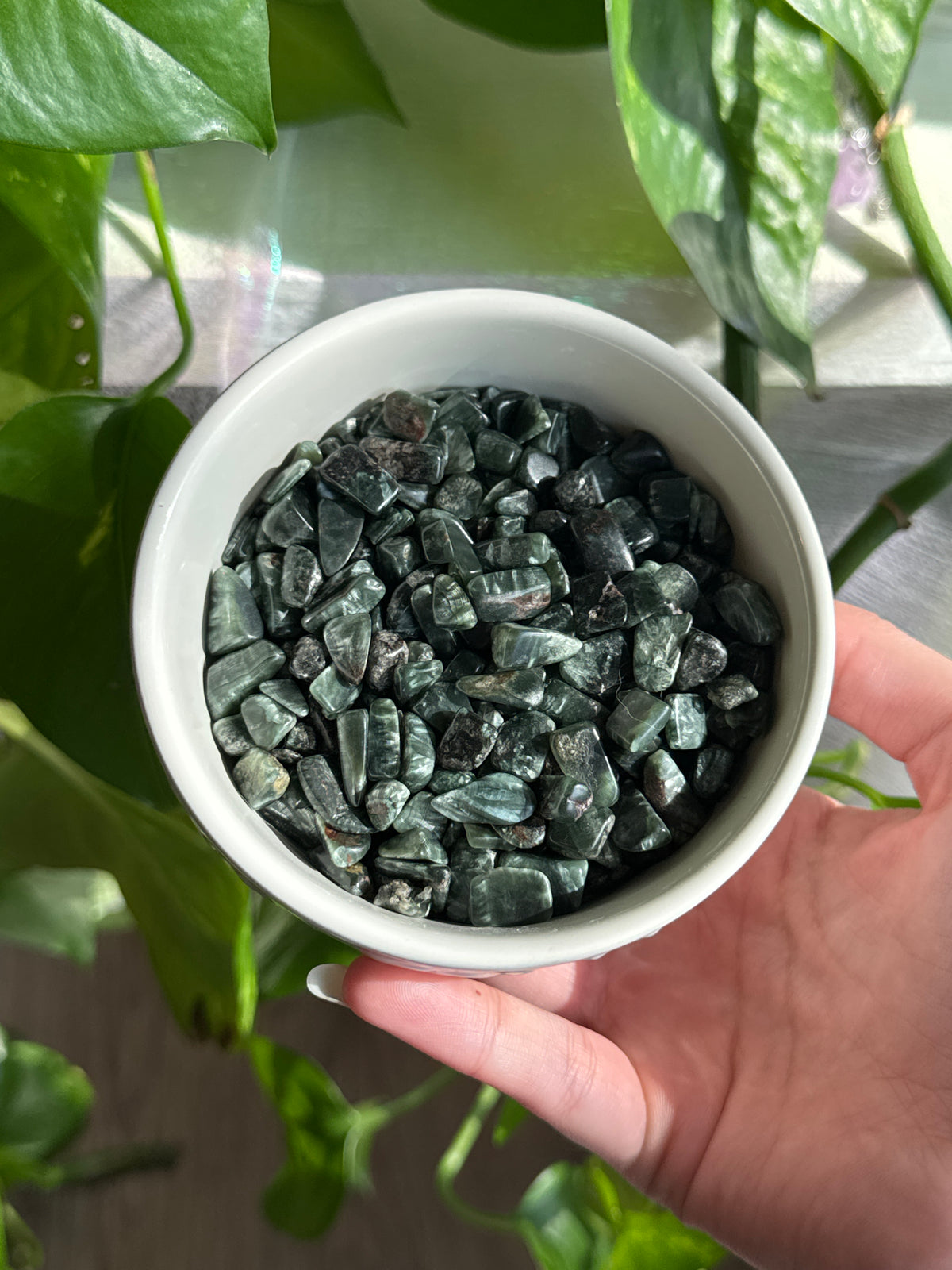 Medium Seraphinite Chips