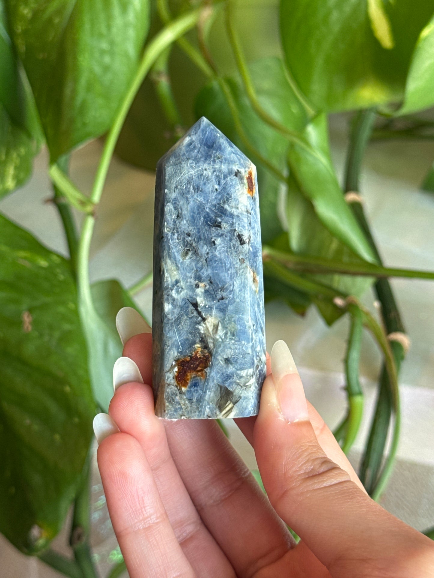 Kyanite with Garnet Inclusions Tower