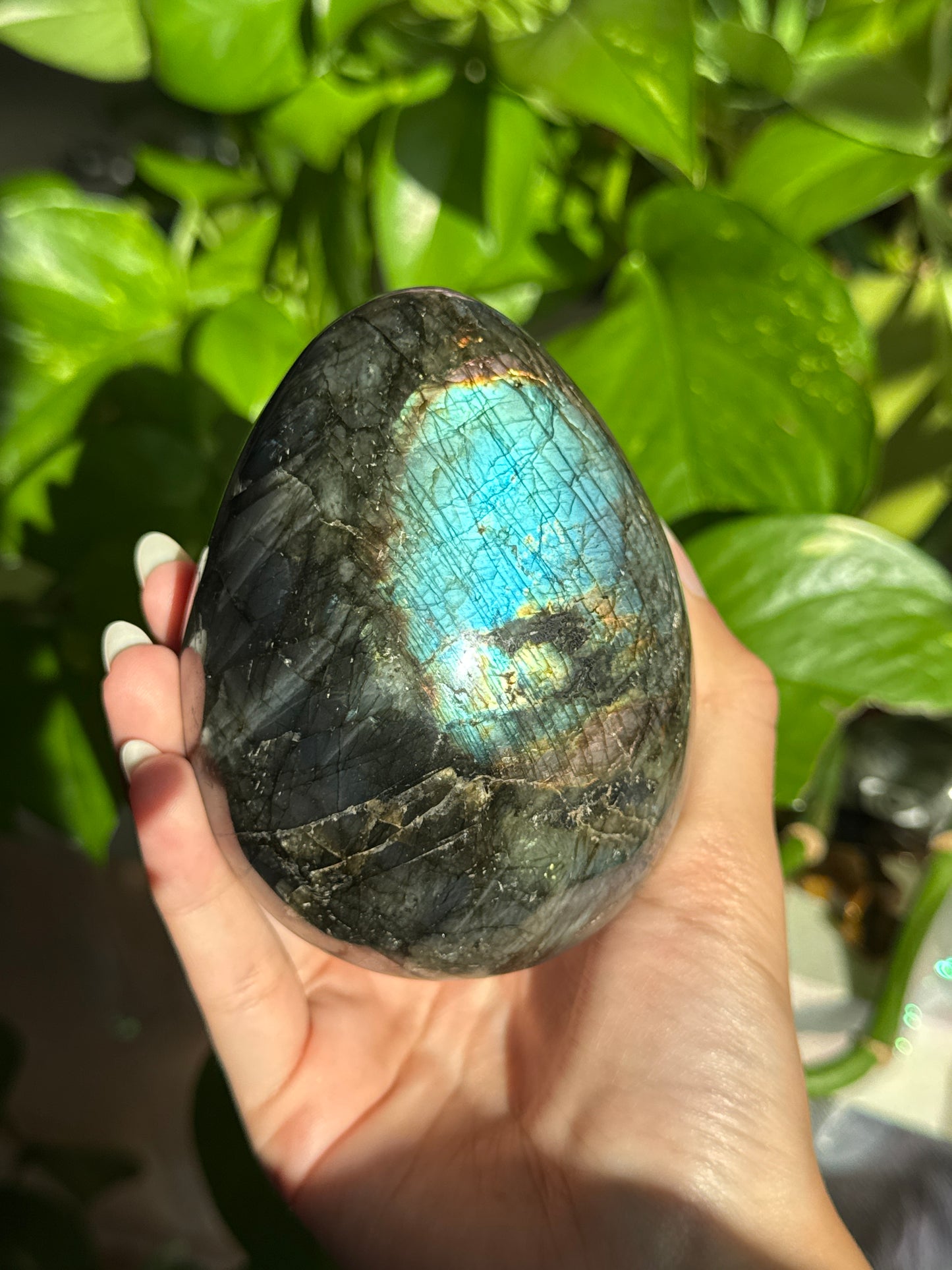 Large Flashy Labradorite Egg