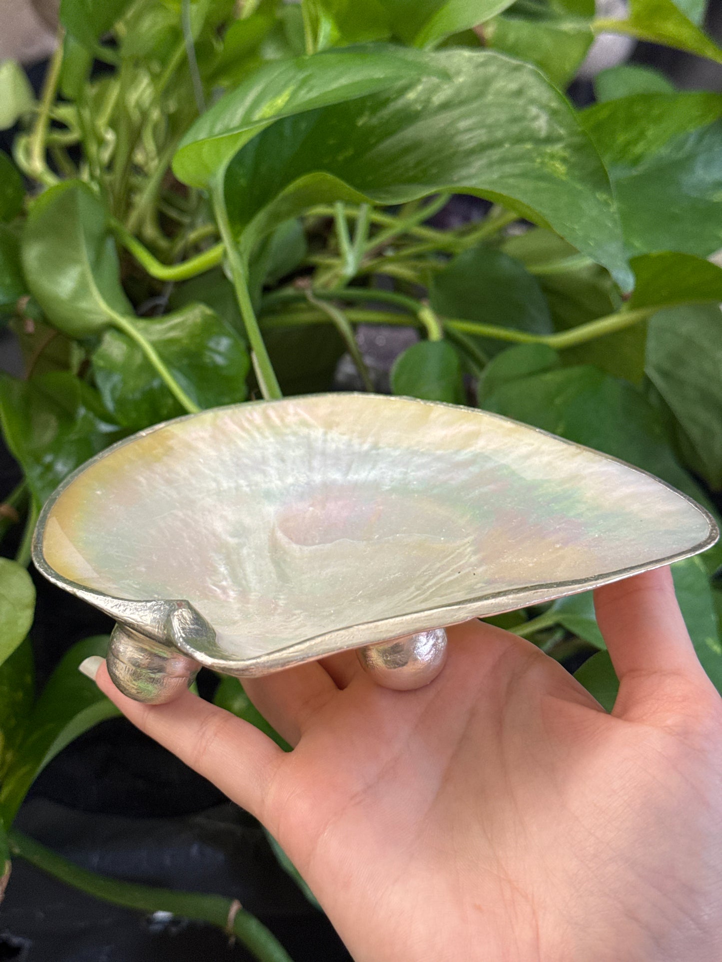 lridescent Shell Dish C