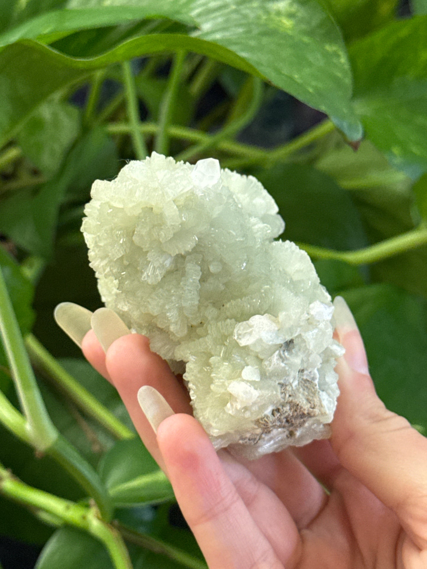 Crystallized Prehnite A
