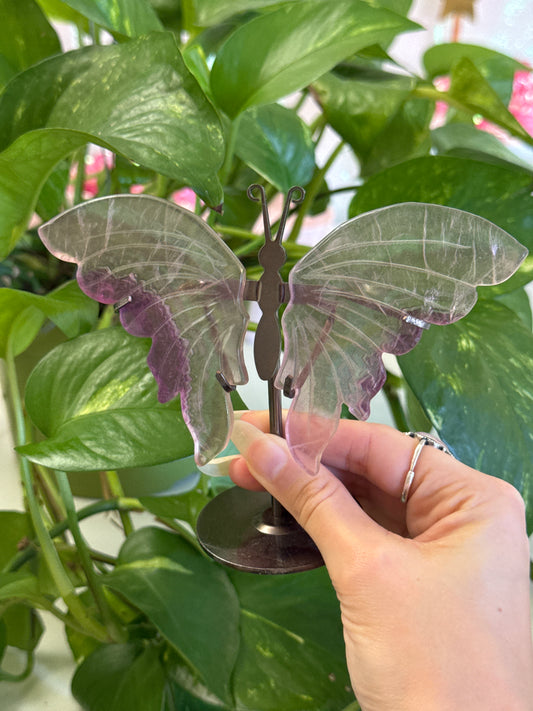 Clear Magenta Fluorite Butterfly Wings