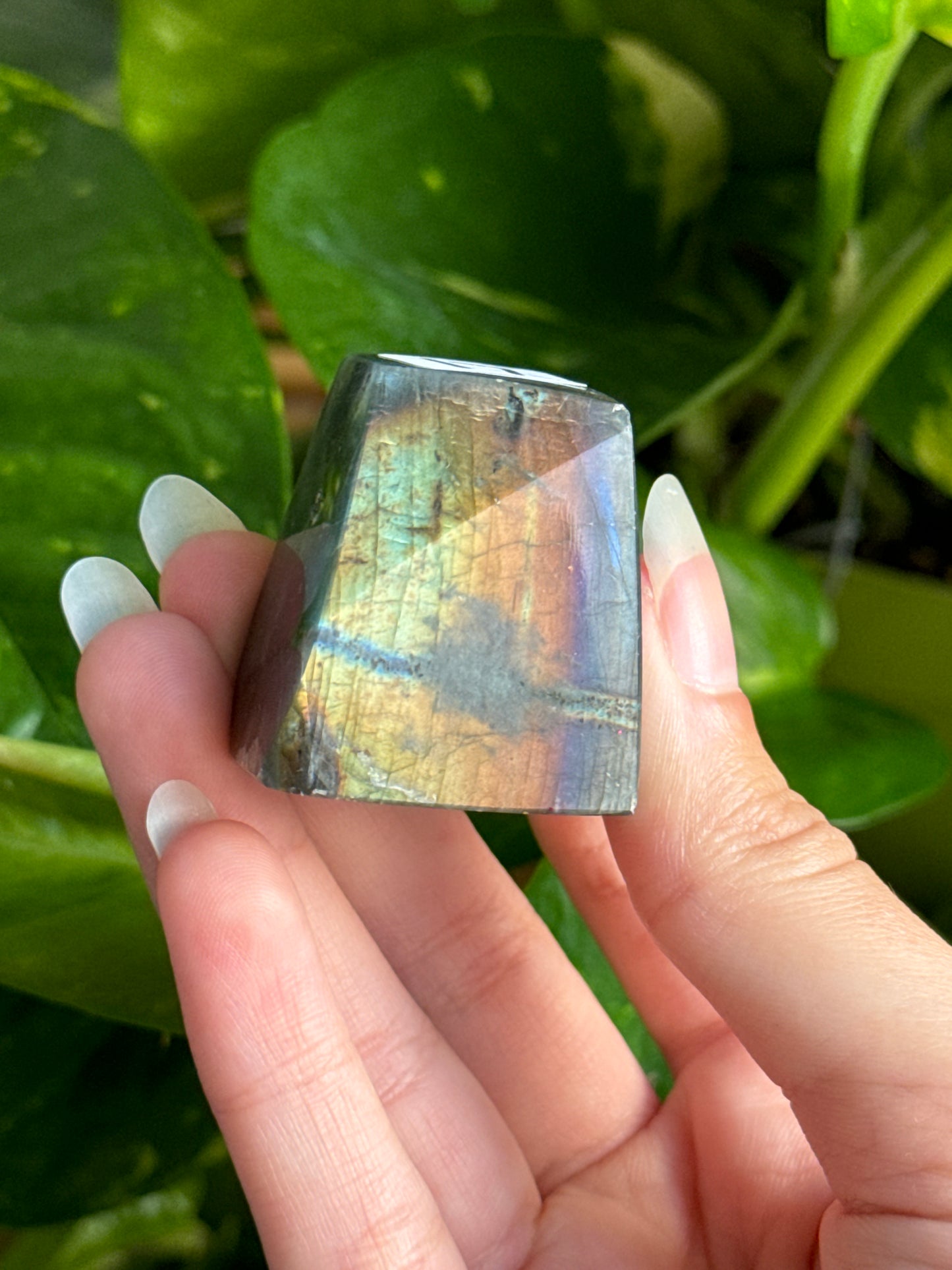 High Grade Rainbow Labradorite Freeform