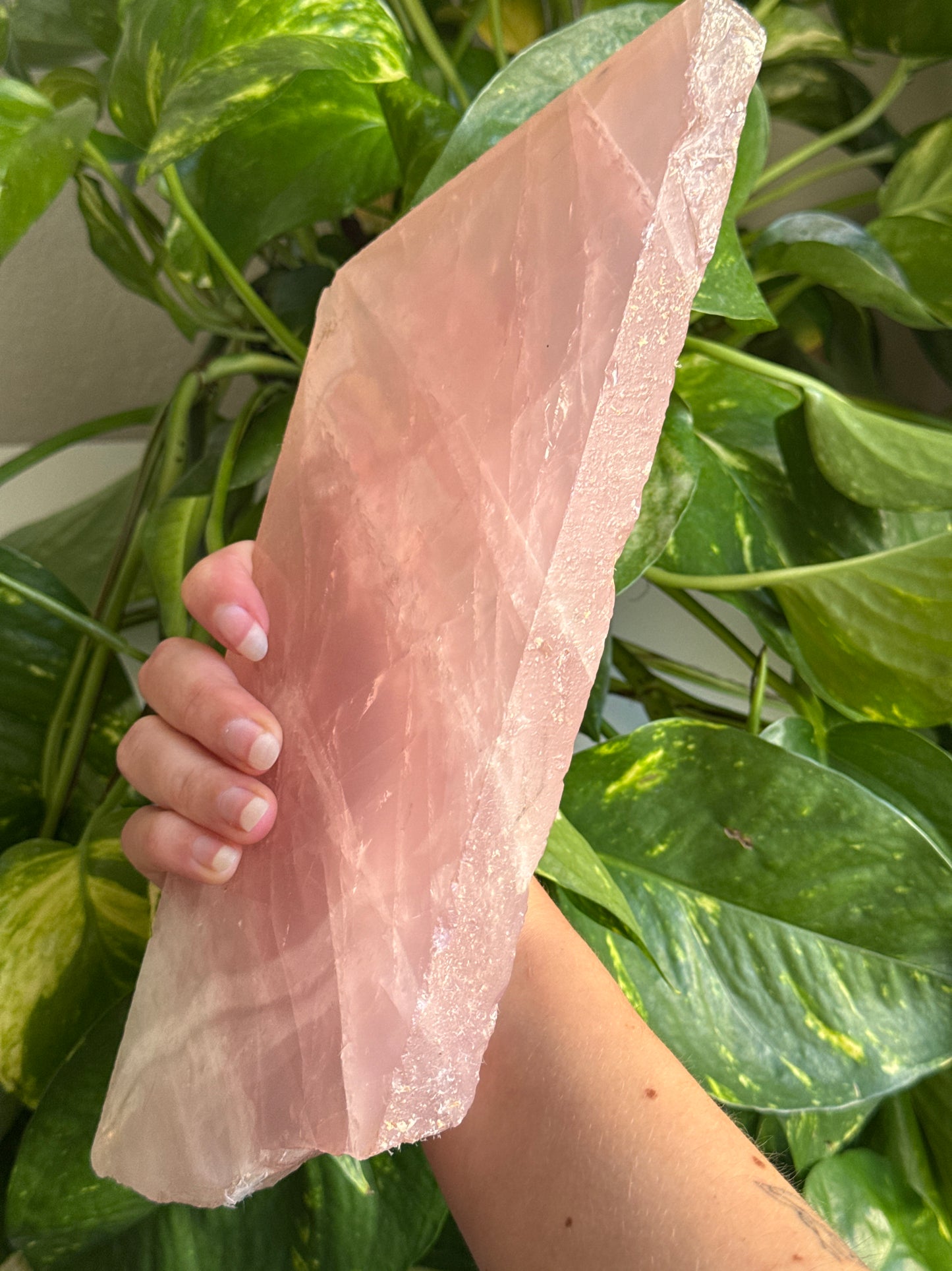 XL Rose Quartz Slab