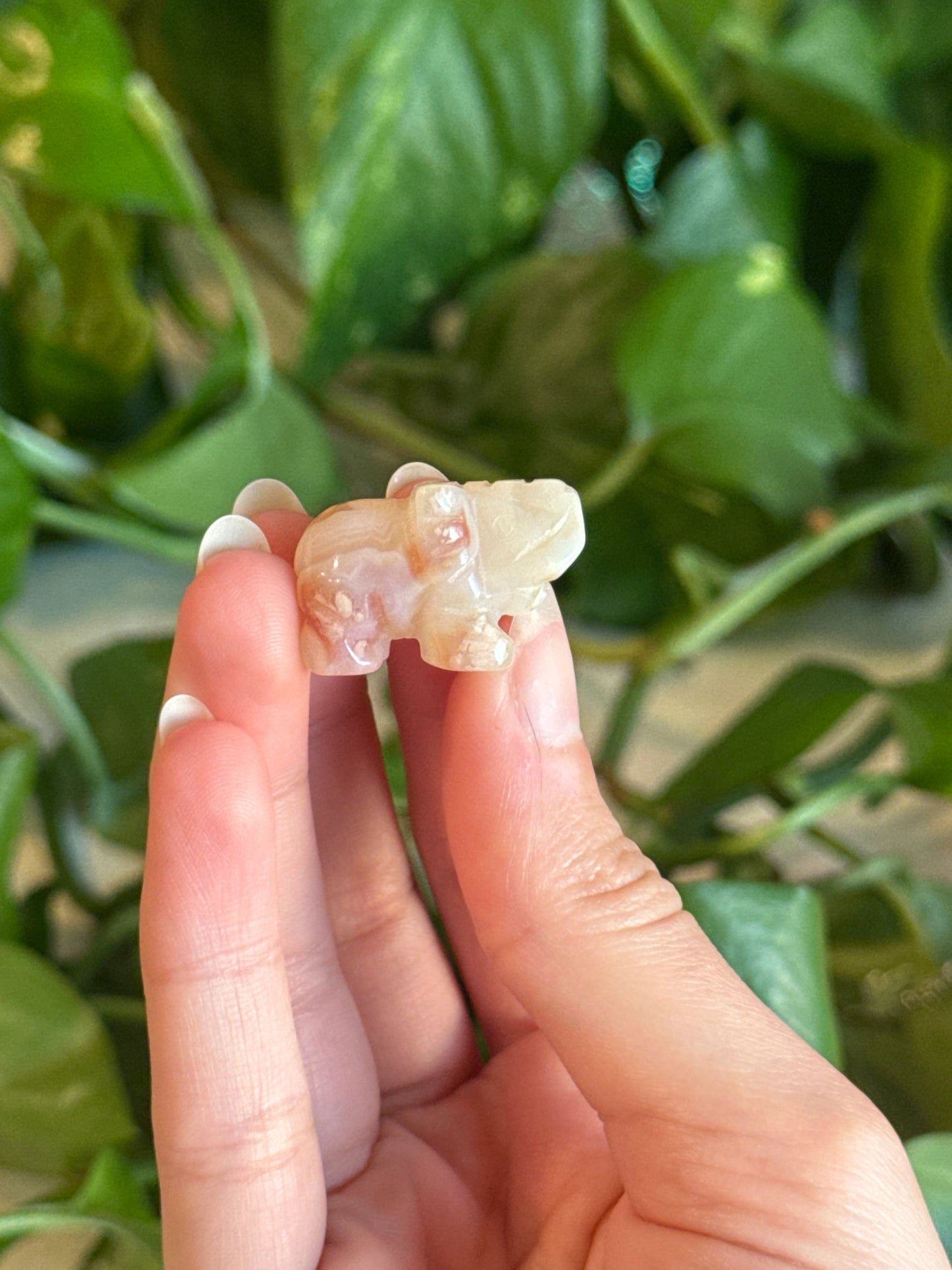 Flower Agate Mini Elephant Carving