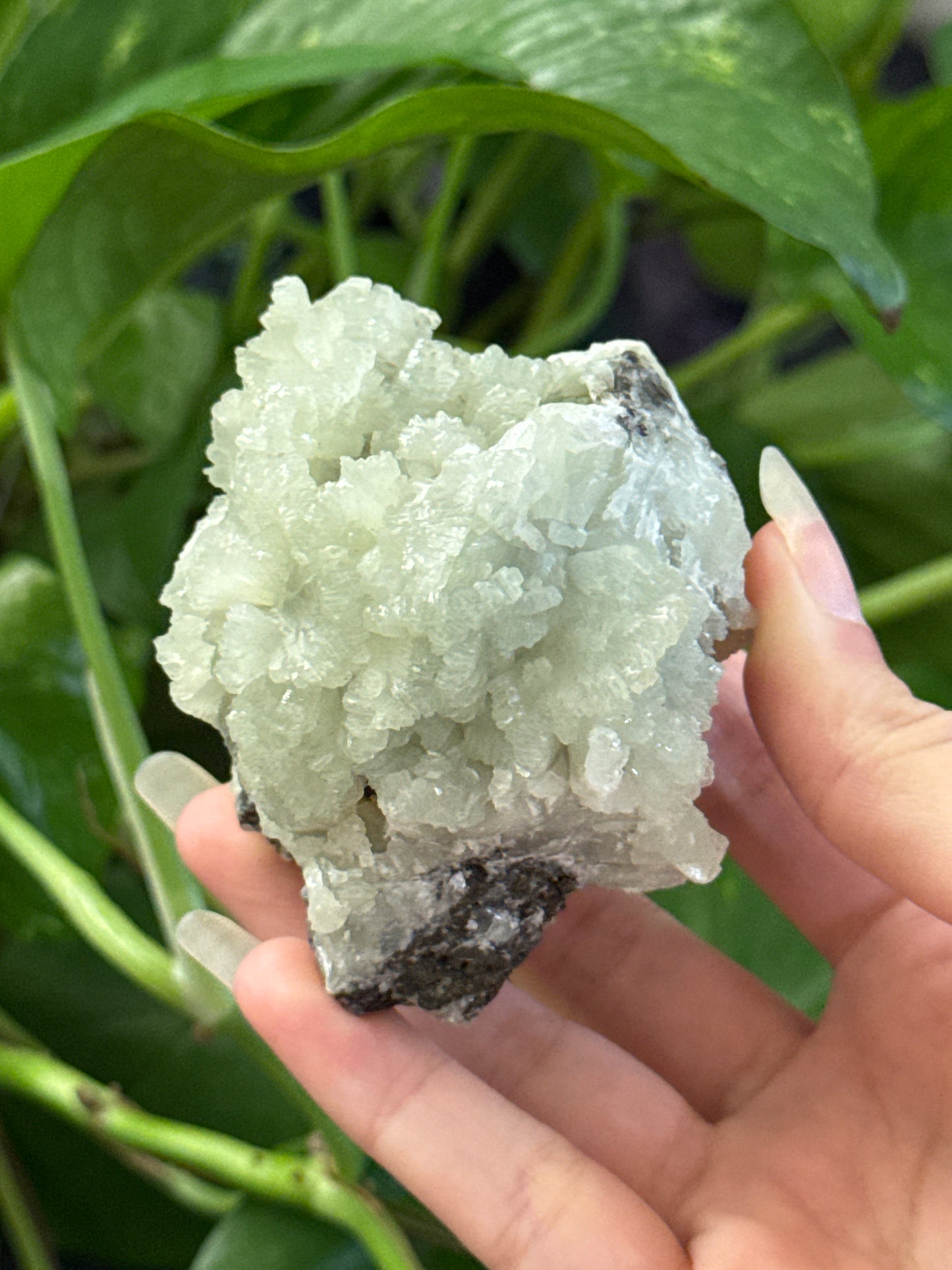 Crystallized Prehnite B