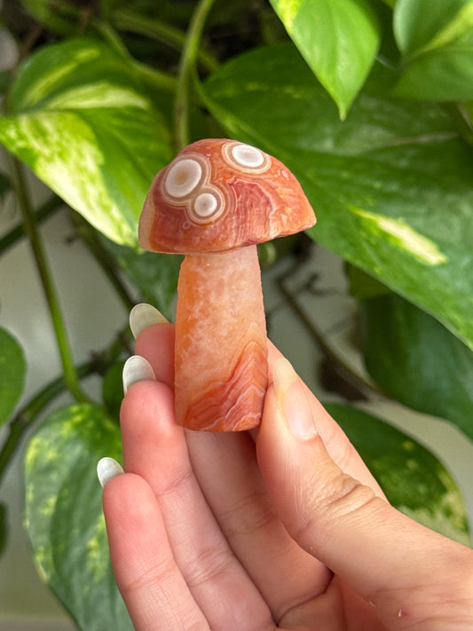 Gobi Agate Mushroom A