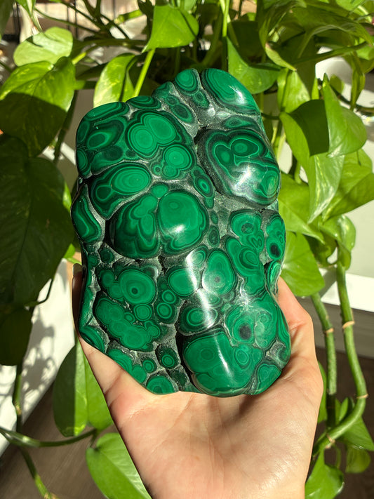 Statement Collectors Malachite Polished Large Freeform
