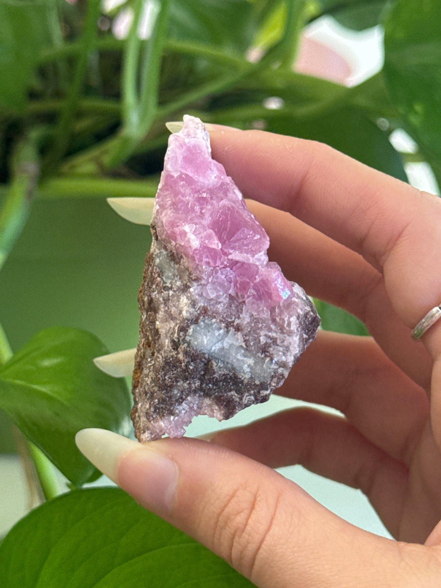 Rare Pink Gel Cobalto Calcite Specimen D