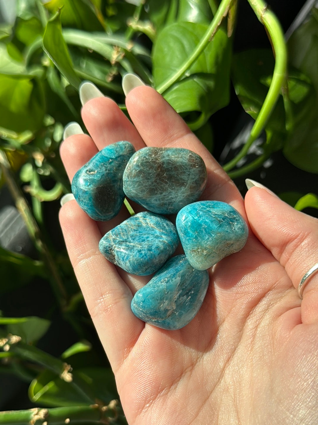 Blue Apatite Tumble