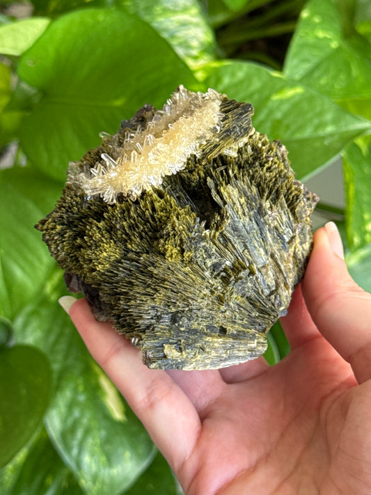 Collectors Grade Forest Epidote with Quartz Specimen A