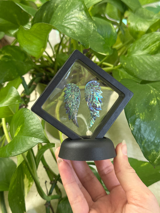 Abalone Shell Wings B