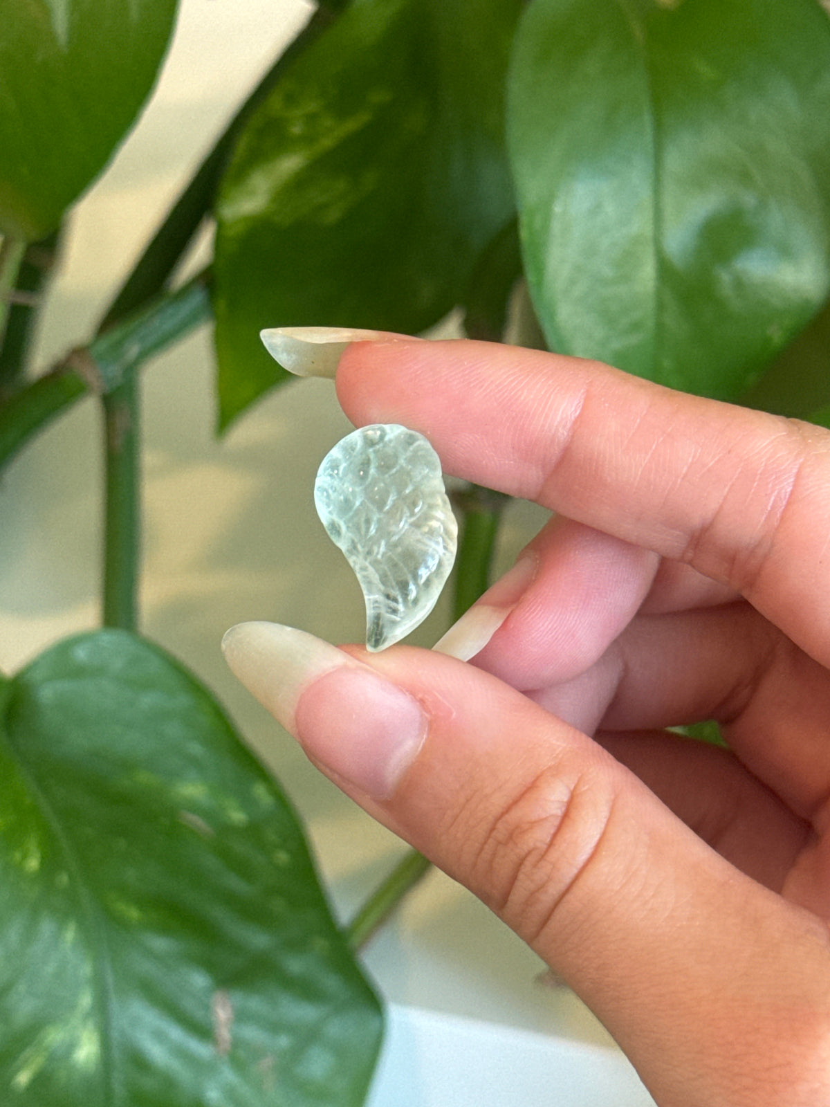 Fluorite Angel Wing