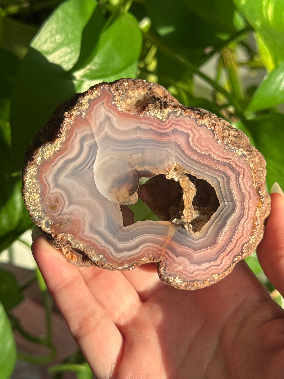 Laguna Agate Druzy Portal Specimen