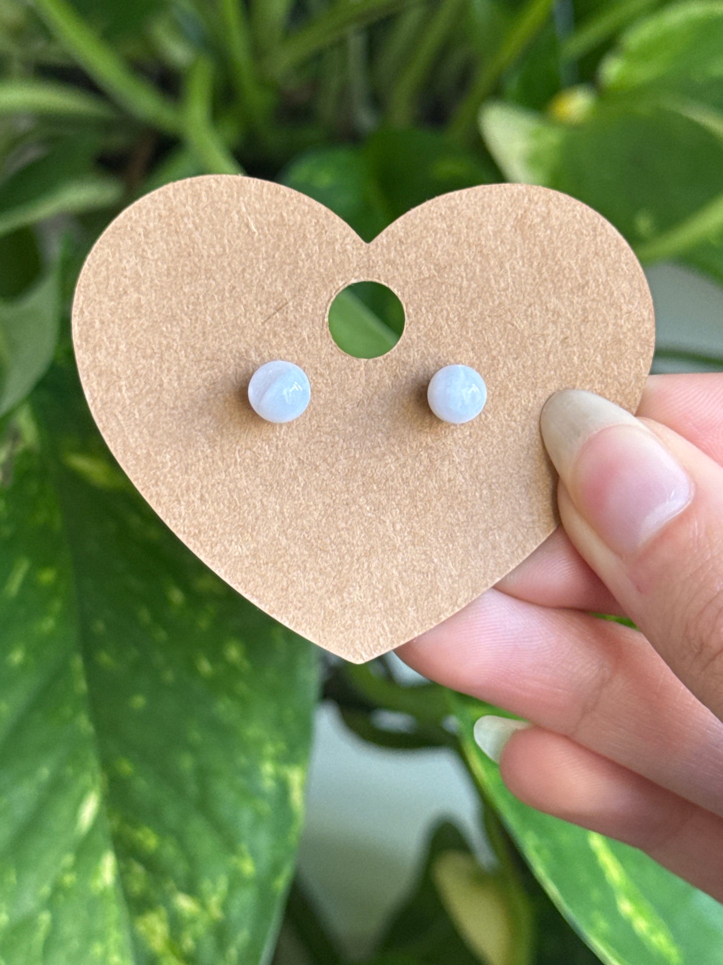 Blue Chalcedony Stud Earrings