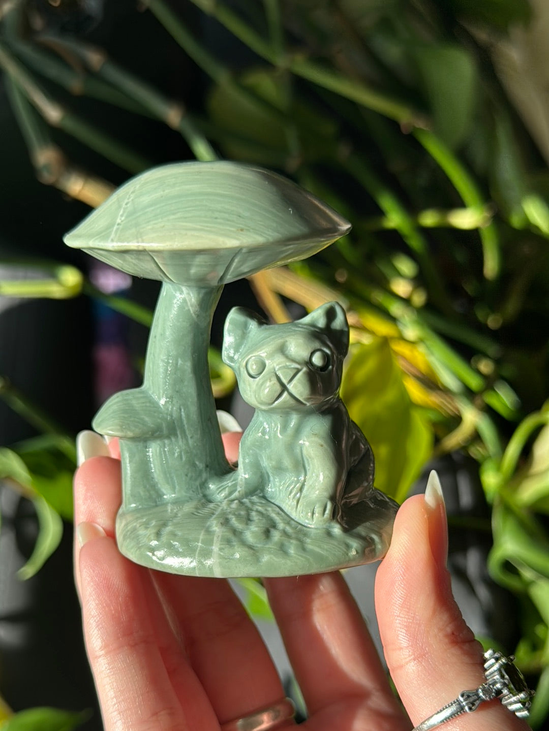 Puppy Jade Mushroom